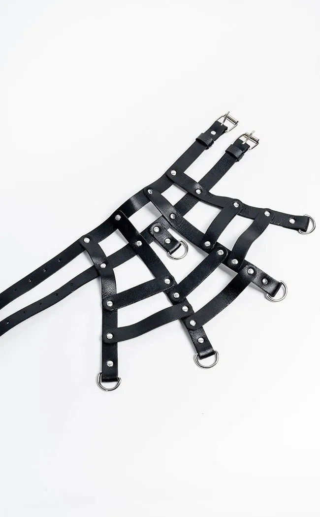 Caged In Neck Harness Choker