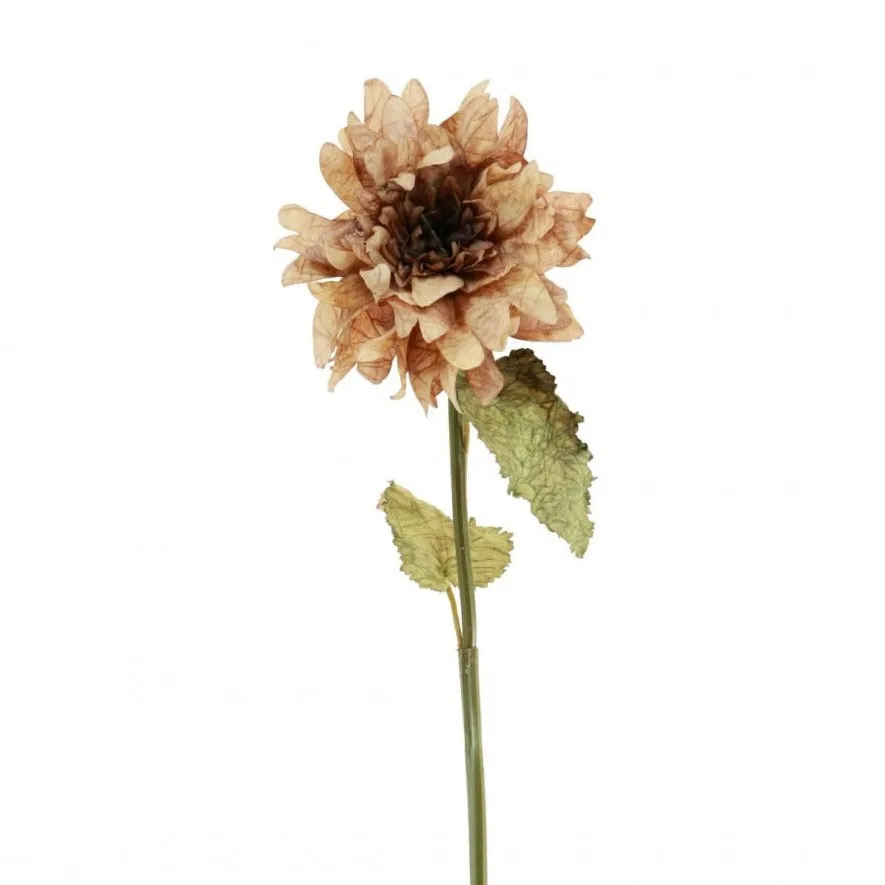Dried Touch Ruffled Dahlia